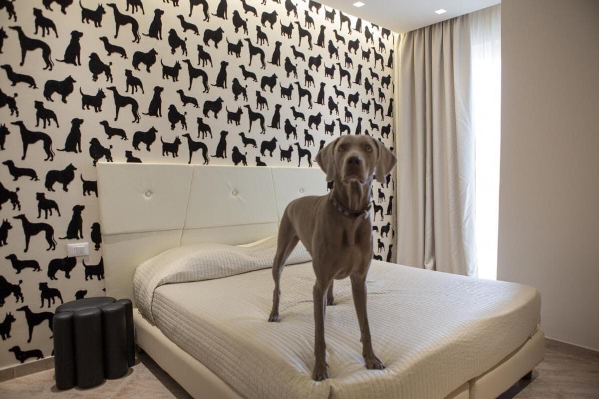 Hotel Principe, Rimini: weimaraner standing on the bed, dog-print wallpaper