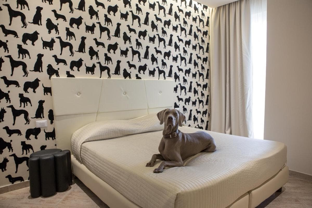 Hotel Principe, Rimini: dog lying on the double bed