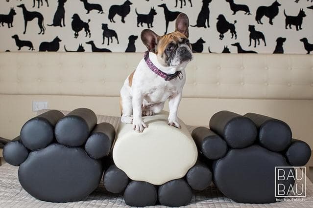 Hotel Principe, Rimini: French bulldog on a paw-shaped seat