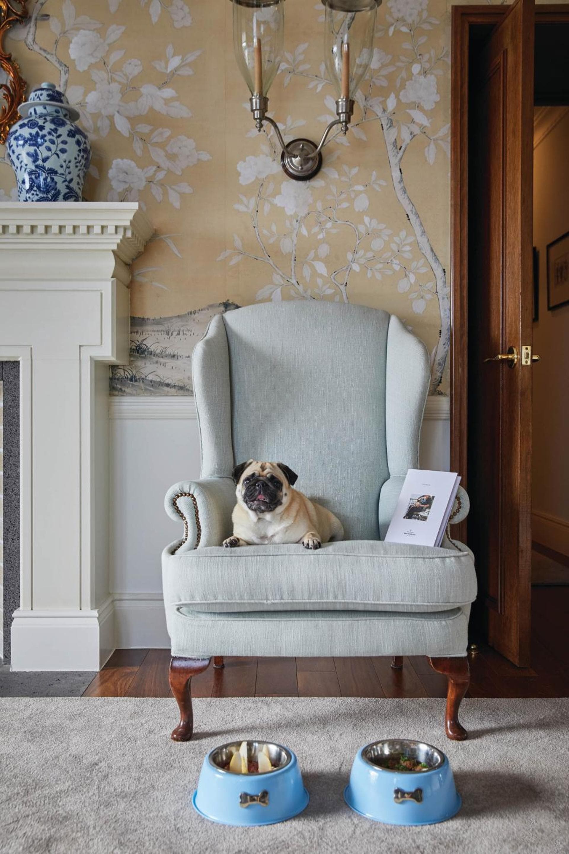 A dog at Reid's Palace, A Belmond Hotel, Madeira