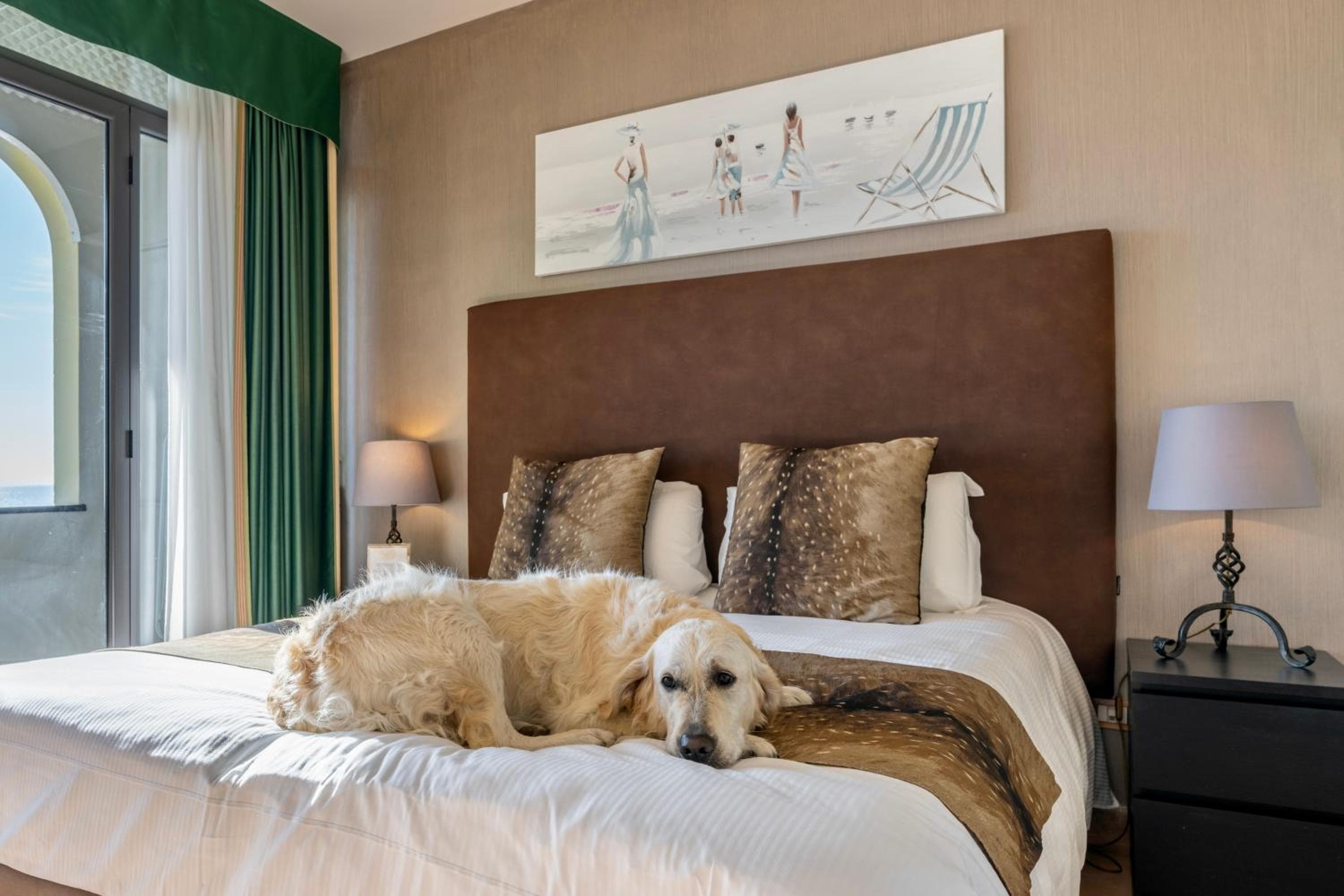 Baba Residences, Alassio: golden retriever resting on the double bed