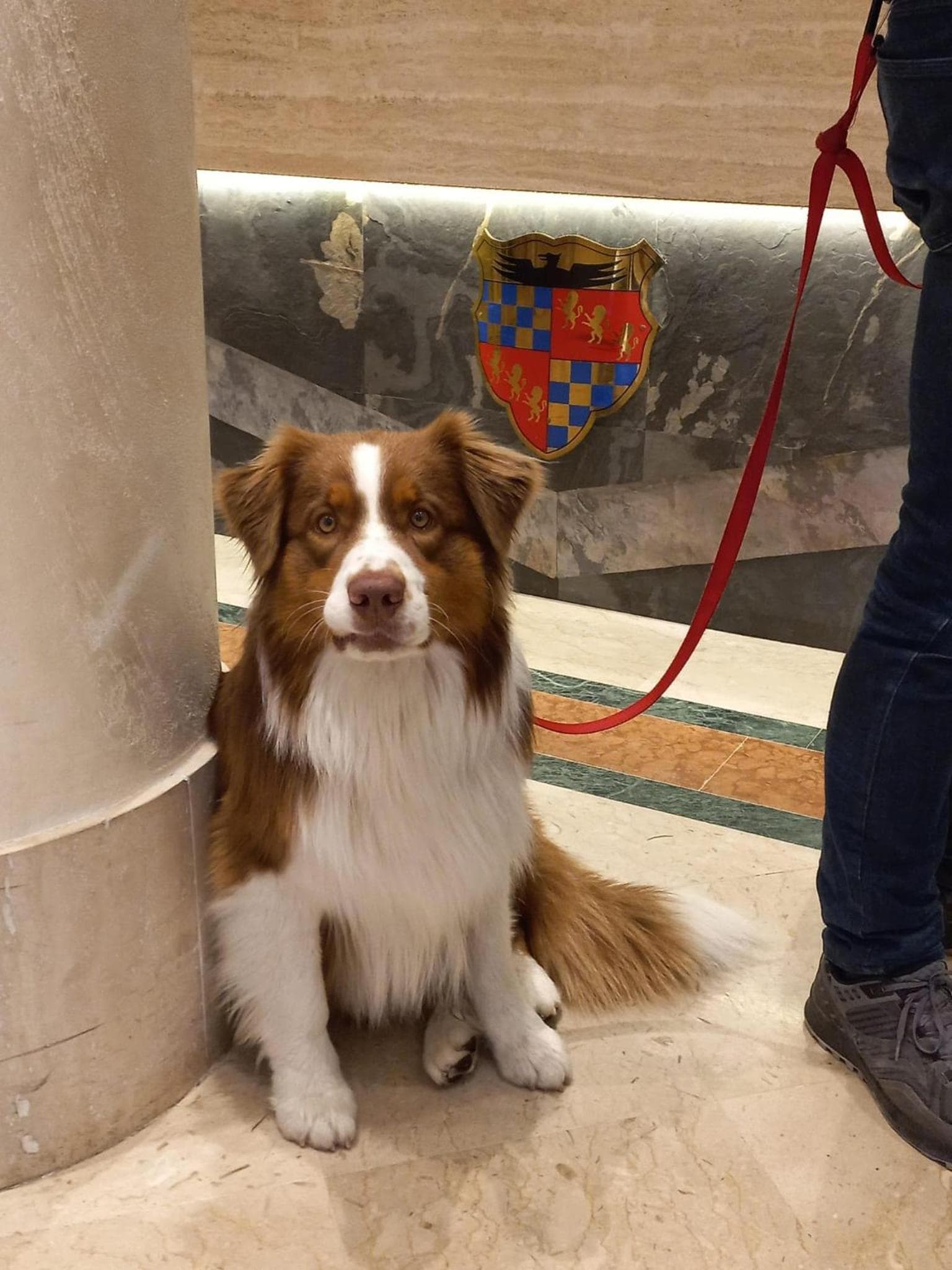 Grand Hotel Adriatico, Florence: dog on a leash in the hotel hall