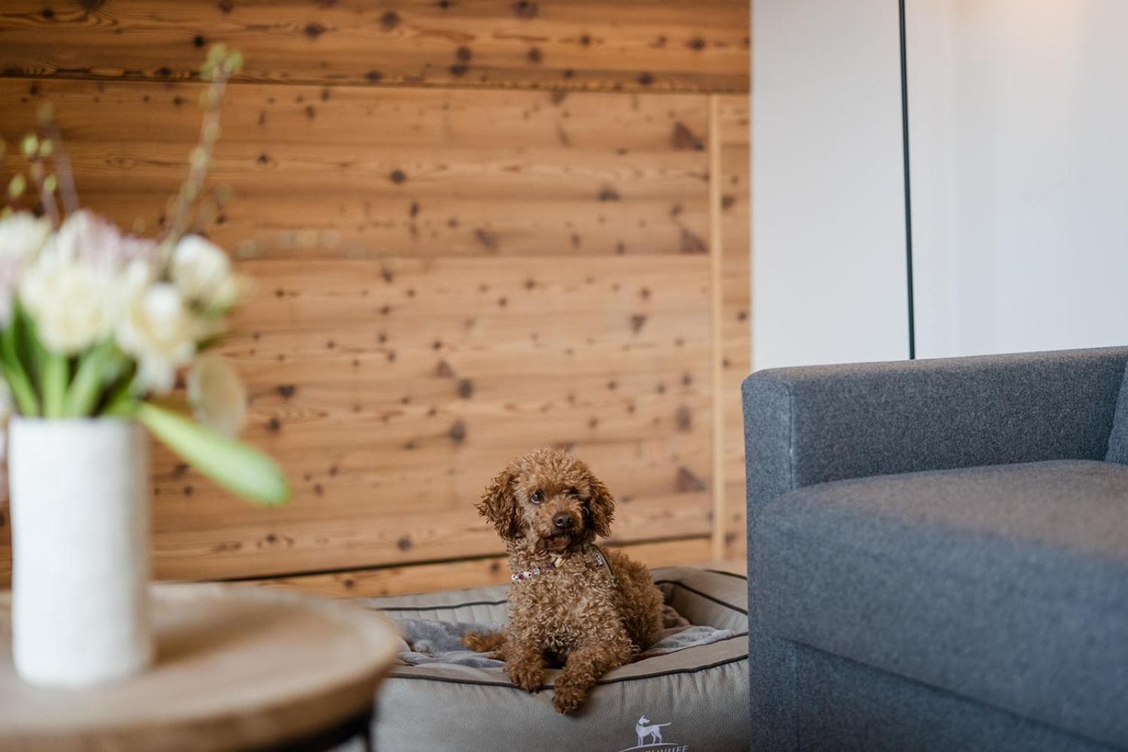 Boutique Hundehotel Bergzeit